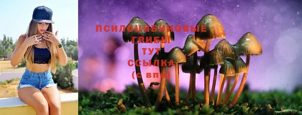 ешки Алексин