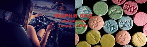 ешки Алексин