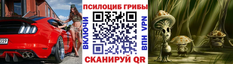 дарк нет официальный сайт  мега вход  Прохладный  Псилоцибиновые грибы прущие грибы 